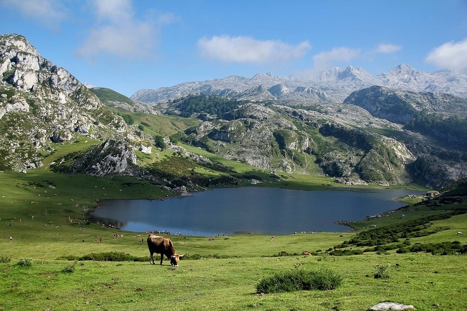espana asturias covadonga lago